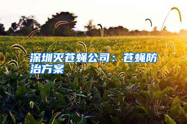 深圳灭苍蝇公司：苍蝇防治方案