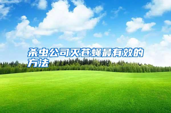杀虫公司灭苍蝇最有效的方法