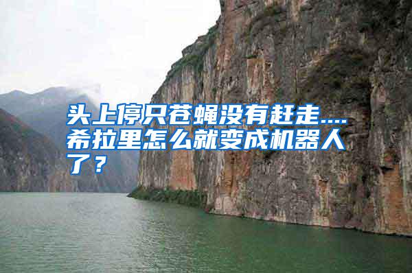 头上停只苍蝇没有赶走....希拉里怎么就变成机器人了？