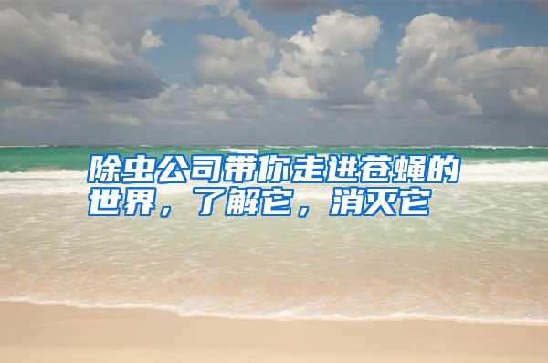 除虫公司带你走进苍蝇的世界，了解它，消灭它