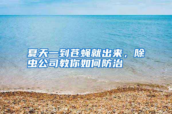 夏天一到苍蝇就出来，除虫公司教你如何防治