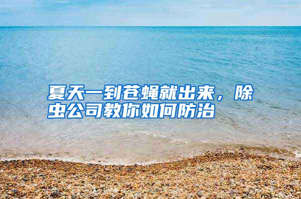 夏天一到苍蝇就出来，除虫公司教你如何防治