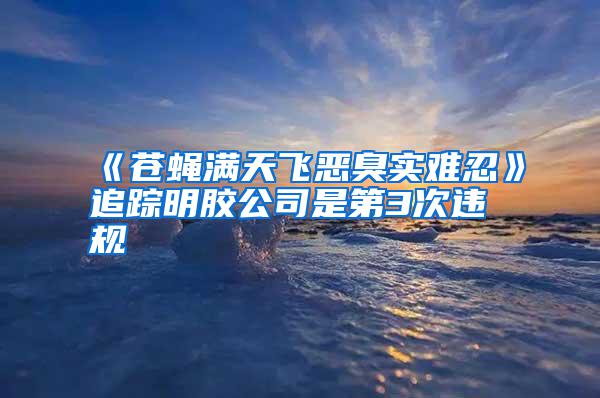 《苍蝇满天飞恶臭实难忍》追踪明胶公司是第3次违规