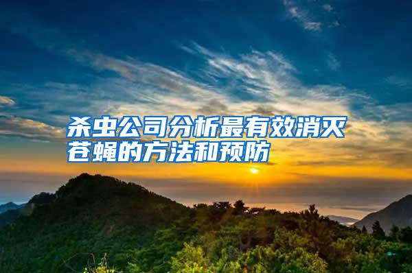 杀虫公司分析最有效消灭苍蝇的方法和预防