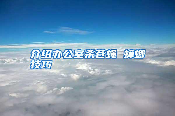 介绍办公室杀苍蝇 蟑螂技巧