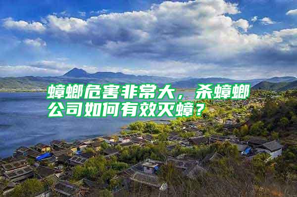 蟑螂危害非常大，杀蟑螂公司如何有效灭蟑？