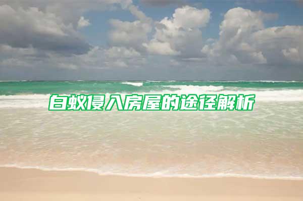 白蚁侵入房屋的途径解析