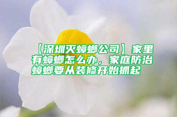 【深圳灭蟑螂公司】家里有蟑螂怎么办，家庭防治蟑螂要从装修开始抓起