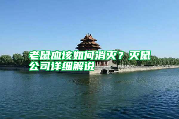 老鼠应该如何消灭？灭鼠公司详细解说