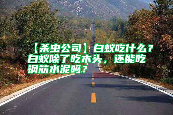 【杀虫公司】白蚁吃什么？白蚁除了吃木头，还能吃钢筋水泥吗？