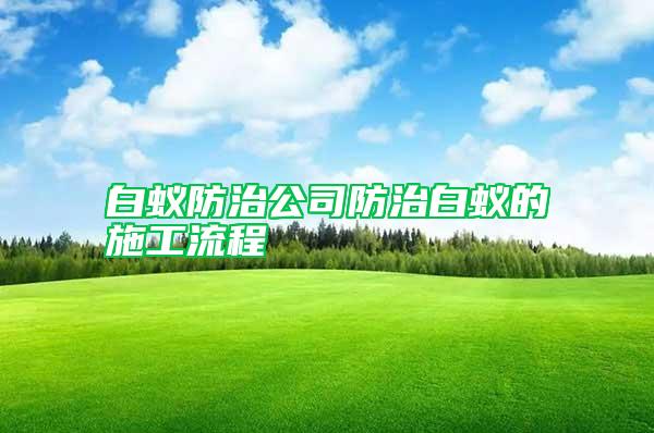 白蚁防治公司防治白蚁的施工流程