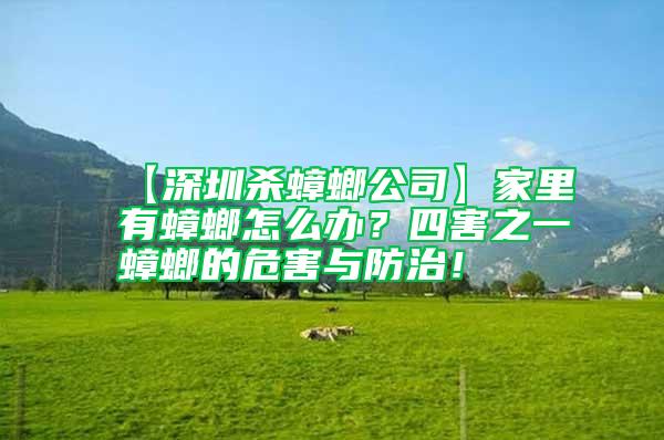 【深圳杀蟑螂公司】家里有蟑螂怎么办？四害之一蟑螂的危害与防治！