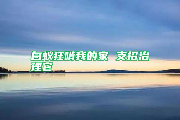 白蚁狂啃我的家 支招治理它