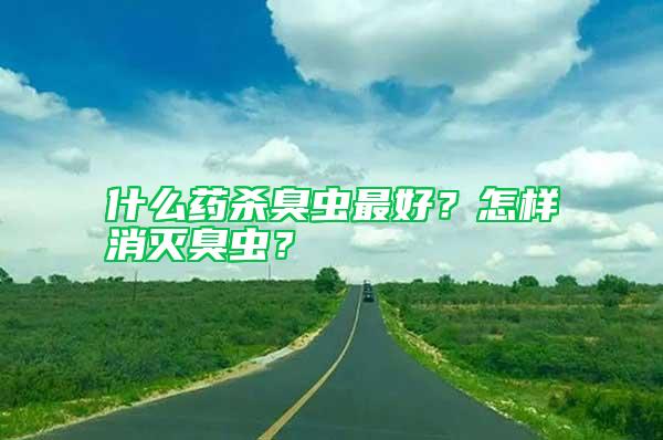 什么药杀臭虫最好？怎样消灭臭虫？