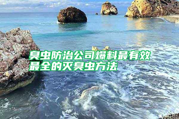 臭虫防治公司爆料最有效最全的灭臭虫方法