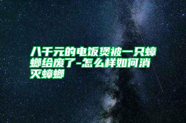 八千元的电饭煲被一只蟑螂给废了-怎么样如何消灭蟑螂