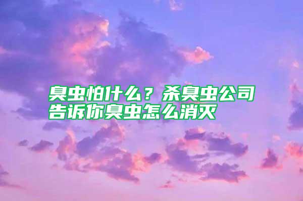 臭虫怕什么？杀臭虫公司告诉你臭虫怎么消灭