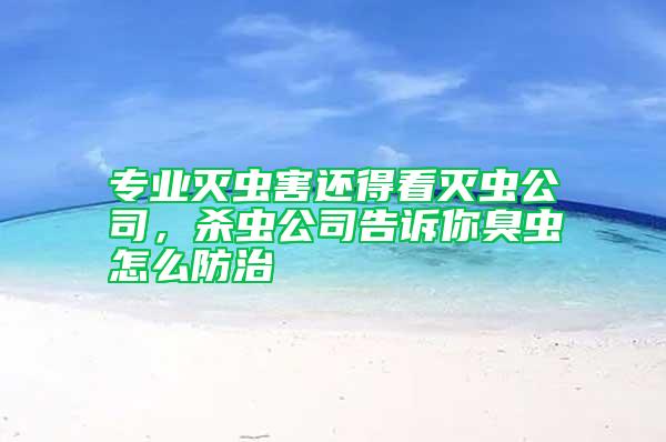 专业灭虫害还得看灭虫公司，杀虫公司告诉你臭虫怎么防治