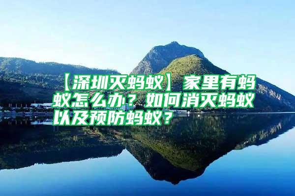 【深圳灭蚂蚁】家里有蚂蚁怎么办？如何消灭蚂蚁以及预防蚂蚁？