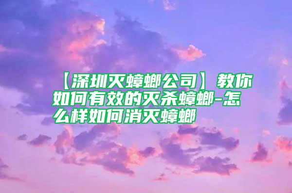 【深圳灭蟑螂公司】教你如何有效的灭杀蟑螂-怎么样如何消灭蟑螂