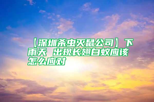 【深圳杀虫灭鼠公司】下雨天 出现长翅白蚁应该怎么应对