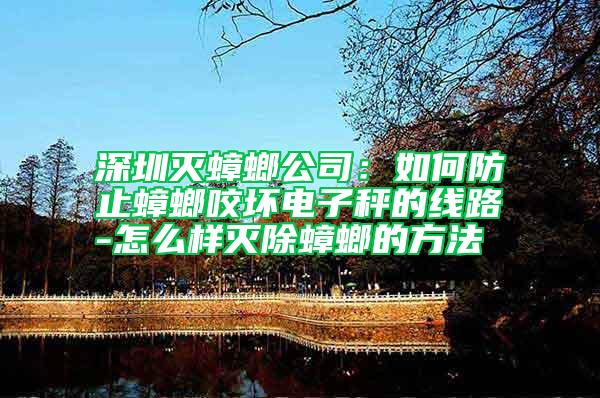 深圳灭蟑螂公司：如何防止蟑螂咬坏电子秤的线路-怎么样灭除蟑螂的方法