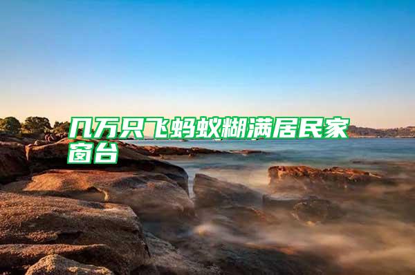 几万只飞蚂蚁糊满居民家窗台