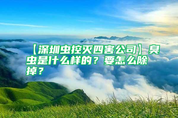 【深圳虫控灭四害公司】臭虫是什么样的？要怎么除掉？