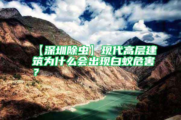 【深圳除虫】现代高层建筑为什么会出现白蚁危害？