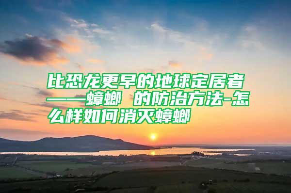 比恐龙更早的地球定居者——蟑螂 的防治方法-怎么样如何消灭蟑螂