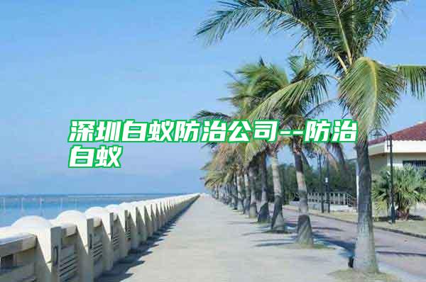 深圳白蚁防治公司--防治白蚁