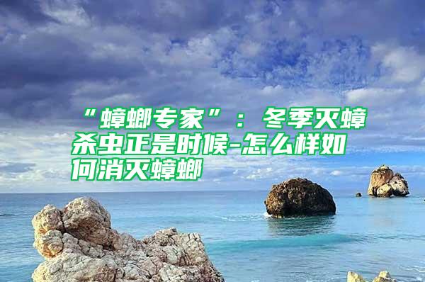 “蟑螂专家”：冬季灭蟑杀虫正是时候-怎么样如何消灭蟑螂