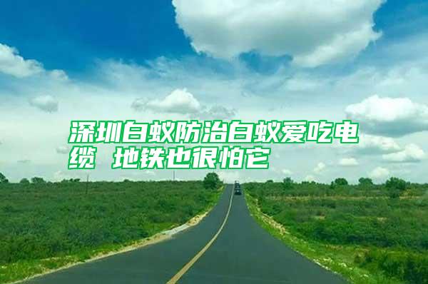 深圳白蚁防治白蚁爱吃电缆 地铁也很怕它