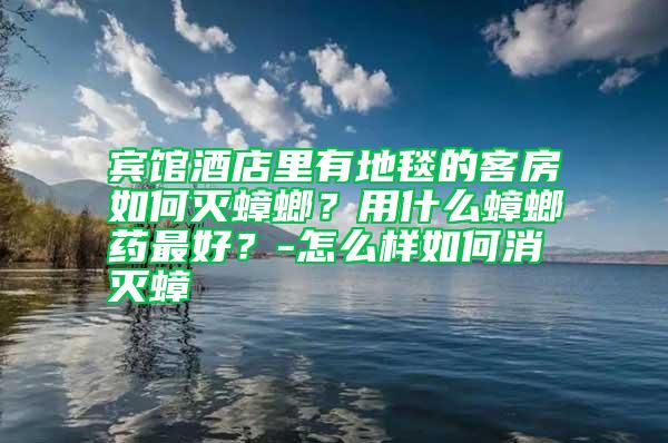 宾馆酒店里有地毯的客房如何灭蟑螂？用什么蟑螂药最好？-怎么样如何消灭蟑