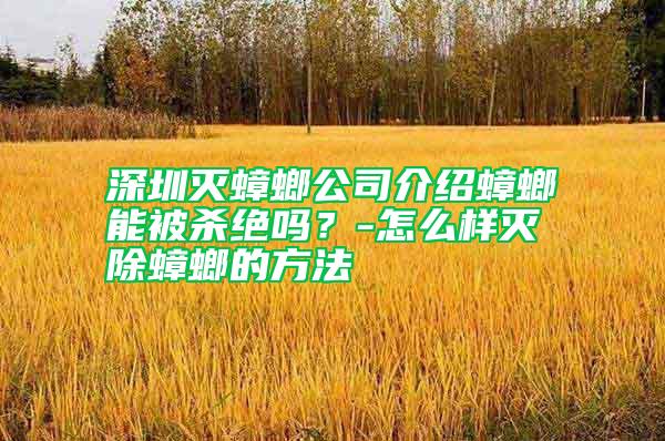 深圳灭蟑螂公司介绍蟑螂能被杀绝吗？-怎么样灭除蟑螂的方法