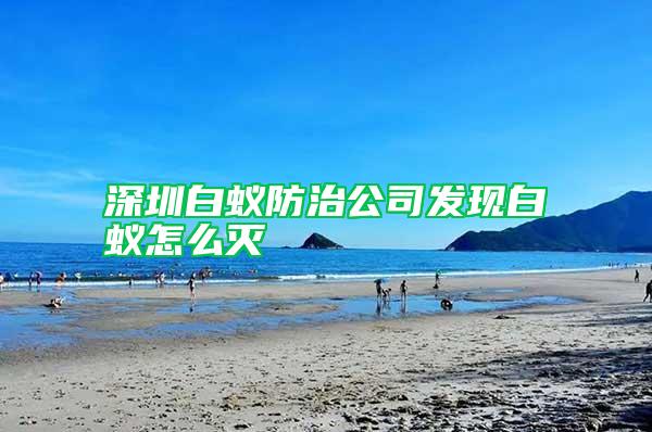 深圳白蚁防治公司发现白蚁怎么灭