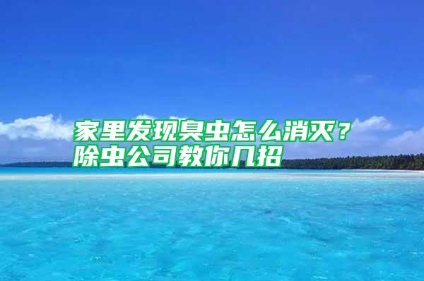 家里发现臭虫怎么消灭？除虫公司教你几招