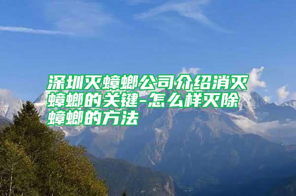 深圳灭蟑螂公司介绍消灭蟑螂的关键-怎么样灭除蟑螂的方法