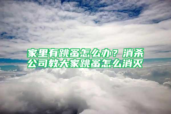 家里有跳蚤怎么办？消杀公司教大家跳蚤怎么消灭