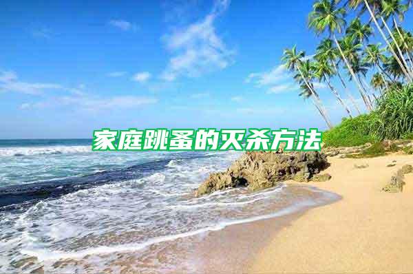 家庭跳蚤的灭杀方法