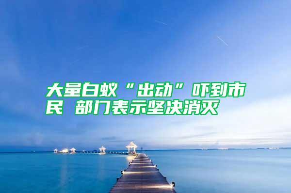 大量白蚁“出动”吓到市民 部门表示坚决消灭