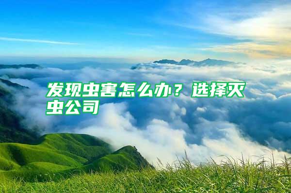 发现虫害怎么办？选择灭虫公司