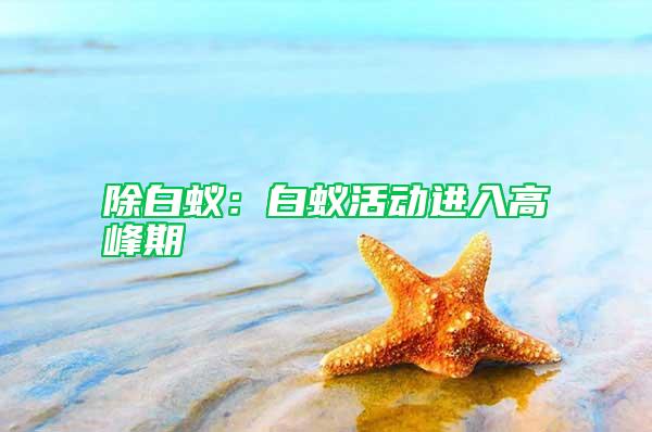 除白蚁：白蚁活动进入高峰期