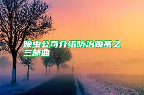 除虫公司介绍防治跳蚤之三部曲