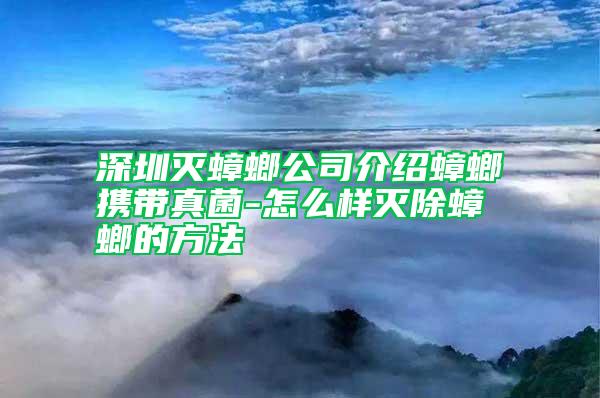 深圳灭蟑螂公司介绍蟑螂携带真菌-怎么样灭除蟑螂的方法