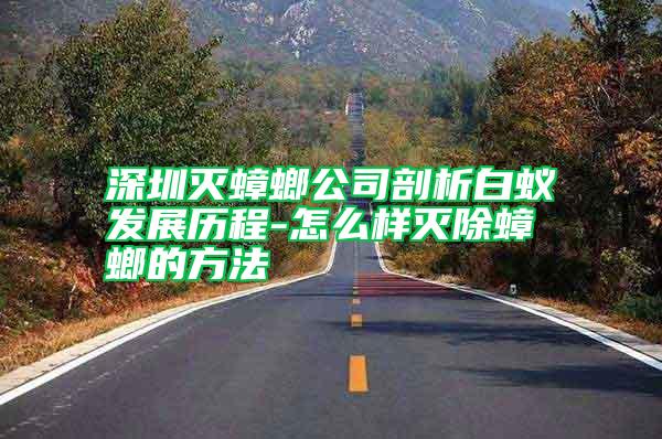 深圳灭蟑螂公司剖析白蚁发展历程-怎么样灭除蟑螂的方法