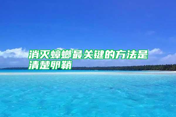 消灭蟑螂最关键的方法是清楚卵鞘