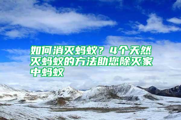 如何消灭蚂蚁？4个天然灭蚂蚁的方法助您除灭家中蚂蚁