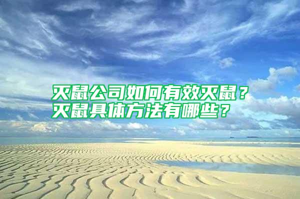 灭鼠公司如何有效灭鼠？灭鼠具体方法有哪些？