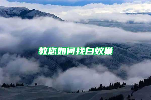 教您如何找白蚁巢